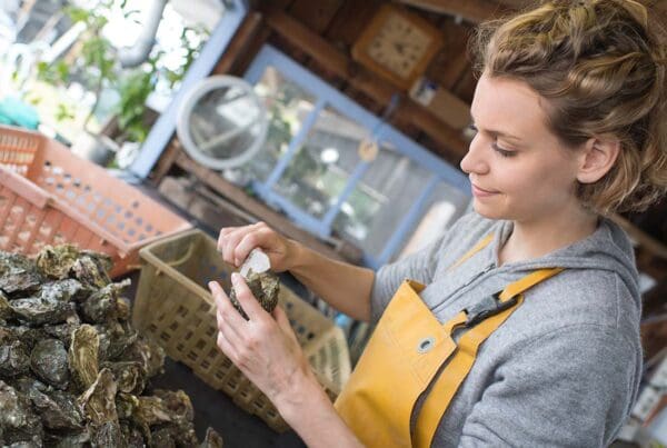 Shellfish Farm Insurance - Female Oyster Farmer Cleaning and Washing Oysters From a Basket as She Prepares Shellfish for Shipment
